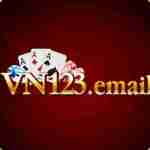 vn123 email