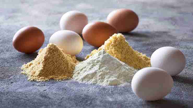 egg-powder-image-with-eggs