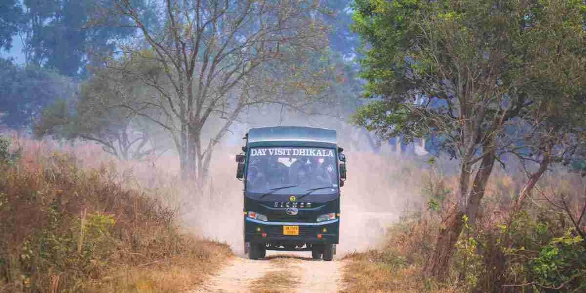 Ultimate Guide to Canter Safari: Experience Jim Corbett's Wildlife Adventure