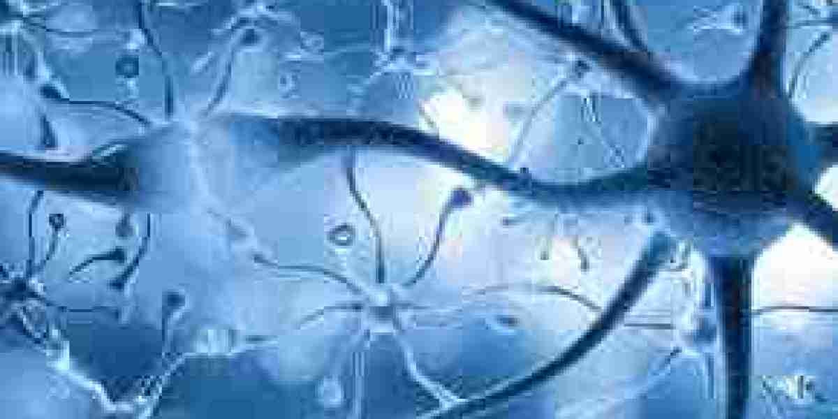 Nerve Regeneration Market Growth, Share, Opportunities & Competitive Analysis, 2024 – 2032