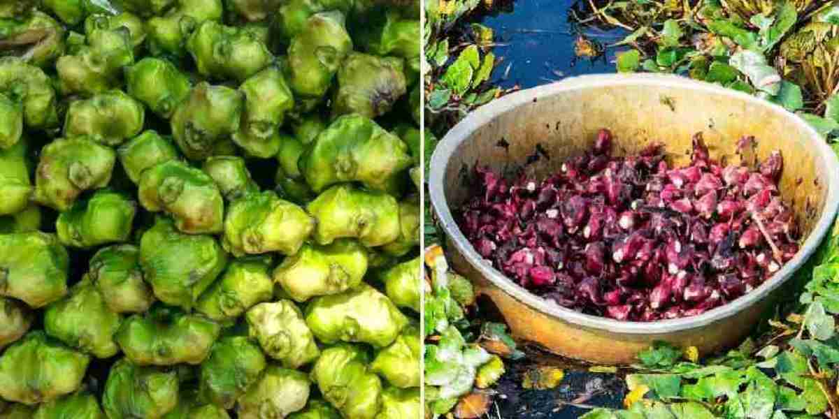 A Beginner’s Guide to Water Chestnut Farming in India