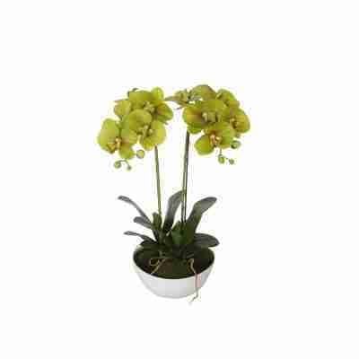 Enchant Your Space with the Timeless Charm of Faux Orchid Profile Picture