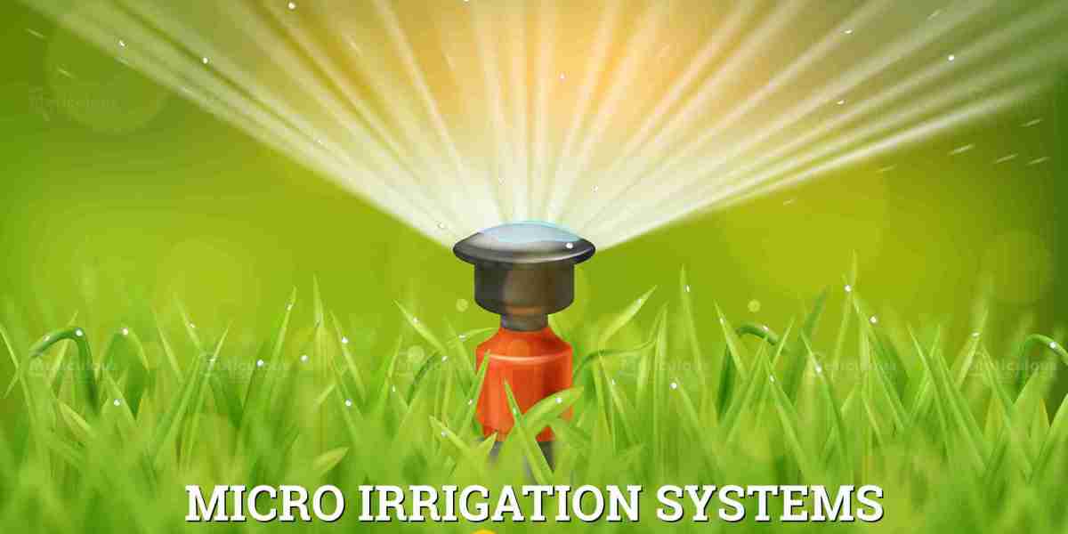 Micro-Irrigation Systems Market Growth to Hit $20.2 Billion by 2030