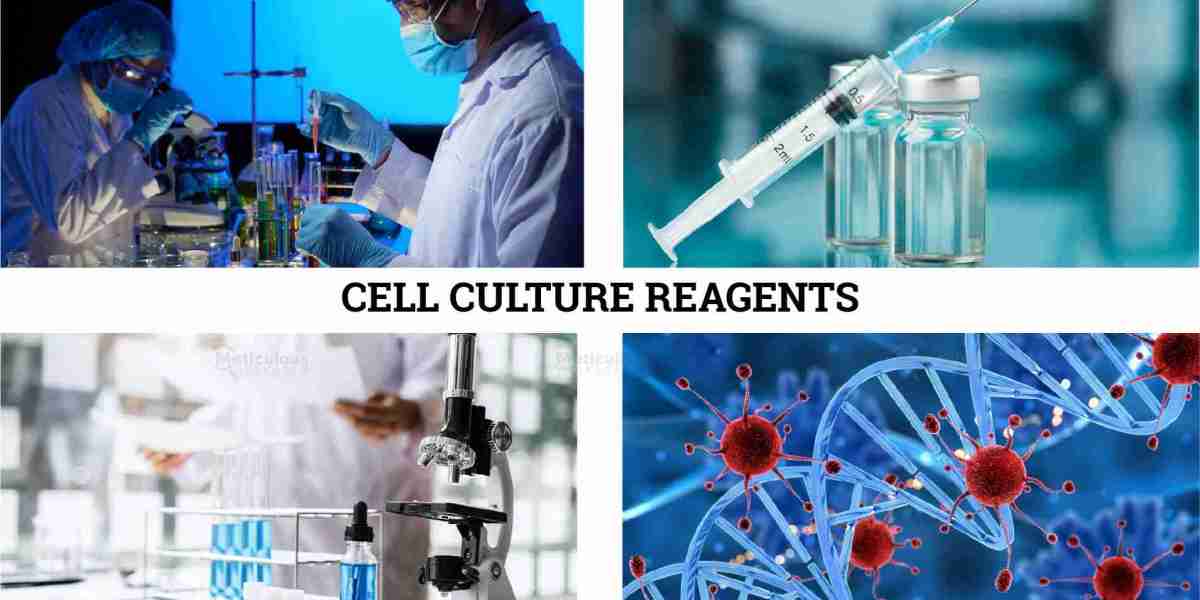 Future of Cell-Based Research: Growth Trends in the Cell Culture Reagents Market