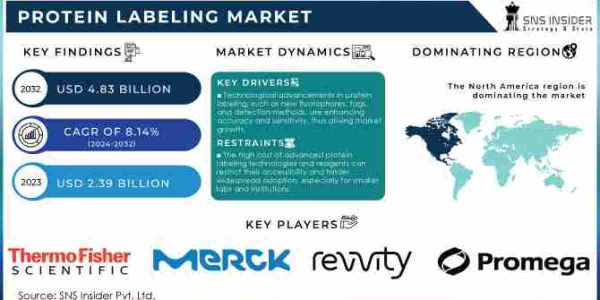 Protein Labeling Market Size Dynamics: What’s Next?