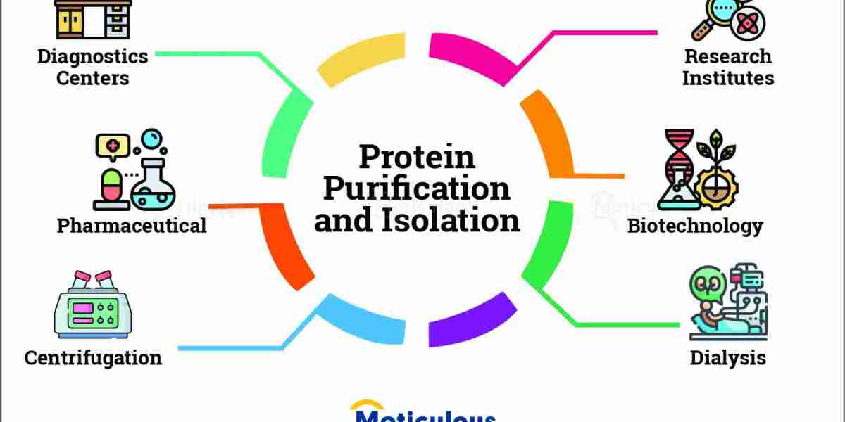 What Are the Key Market Trends in the Global Protein Purification and Isolation Market Leading to a $15.04 Billion Valua