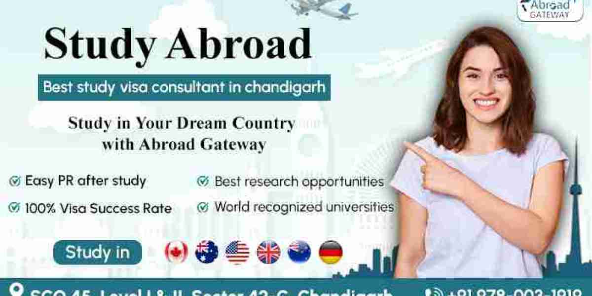 The Role of a Visa Advisor in Chandigarh for Smooth Applications