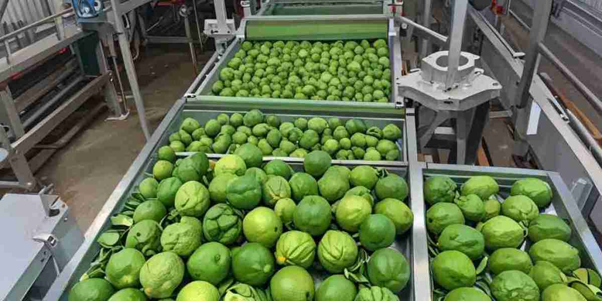 Kaffir Lime Processing Plant Cost 2024: Industry Trends, Machinery and Raw Materials