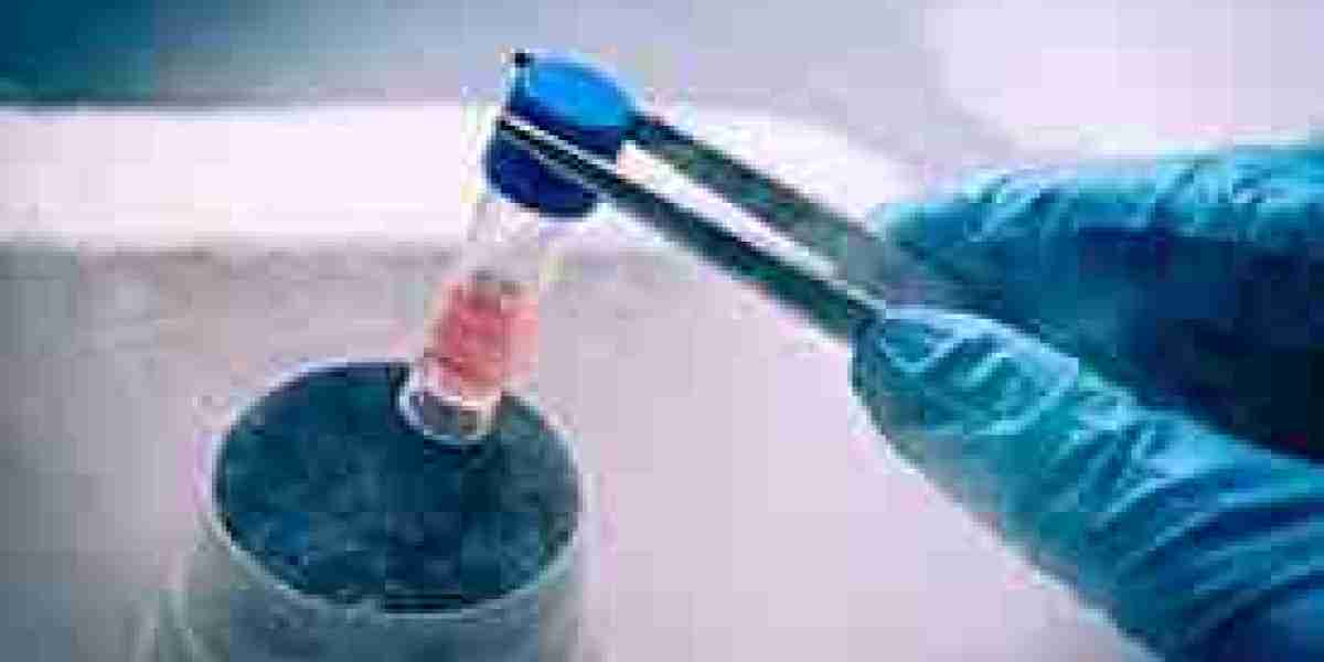 Middle East Stem Cell Market Projected to Show Strong Growth 2024-2032