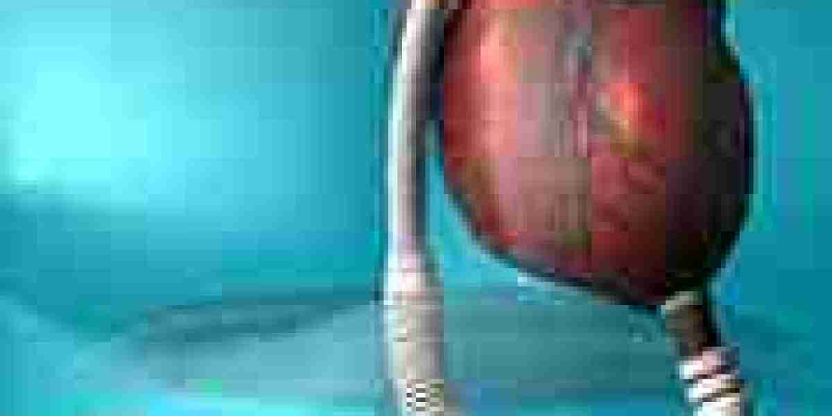 Heart Pump Device Market Climbs on Positive Outlook of Booming Sales