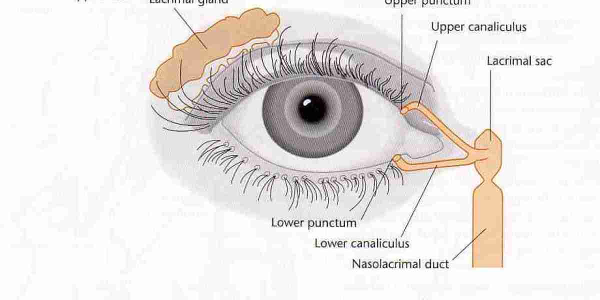 Lacrimal Devices Market turning Impressive - Players in Action