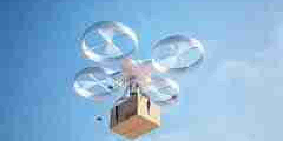 Drone Package Delivery Market Insights, Status And Forecast to 2030