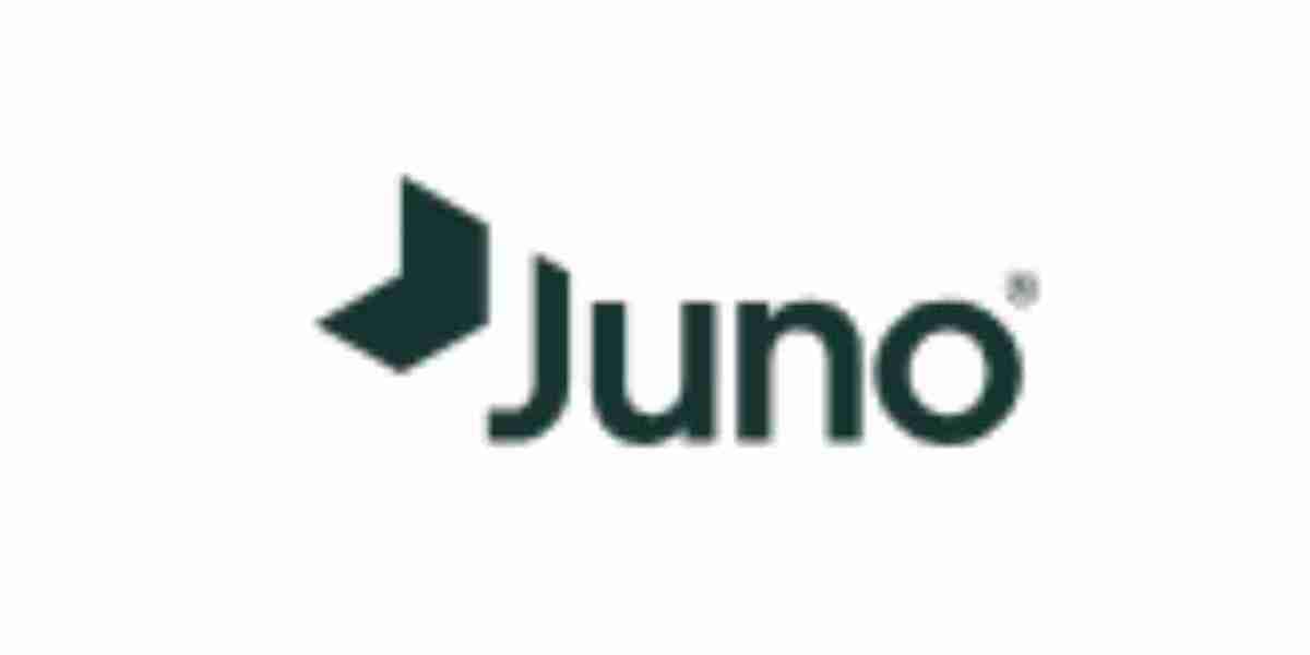 Why You Should Choose Juno Studio for Your Website Design and Development