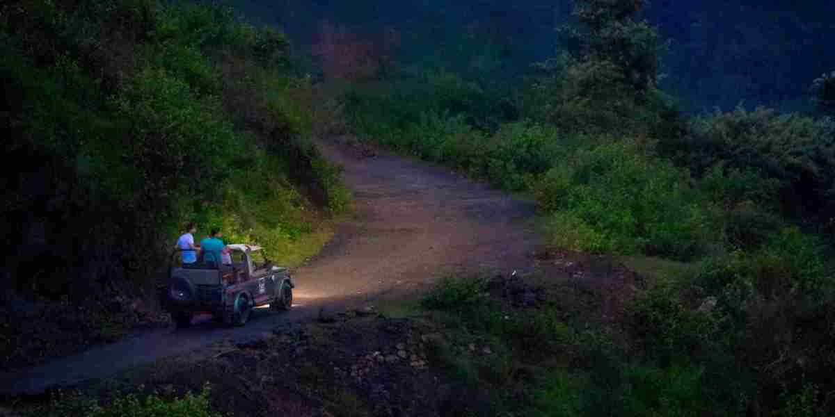 Jeep Safari in Jim Corbett: Essential Guide, Booking Tips & Wildlife Insights