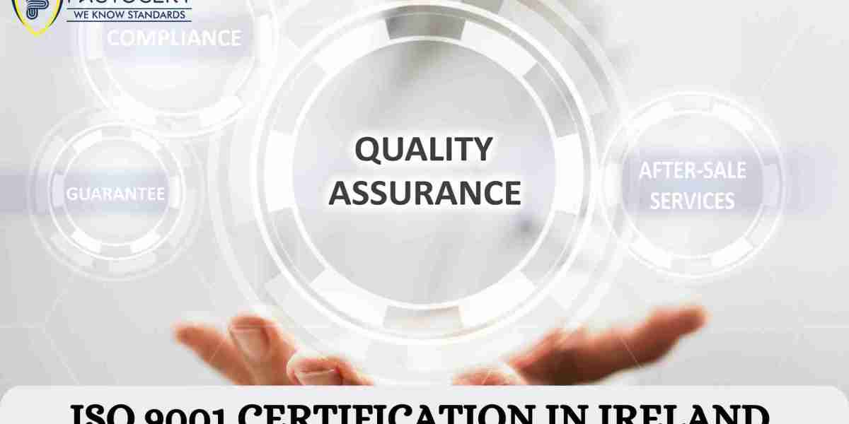 How can a company in Ireland achieve ISO 9001 certification?