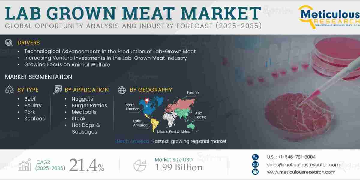 The Future of Food: A Comprehensive Outlook on the Lab-Grown Meat Market