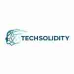 Techsolidity Training