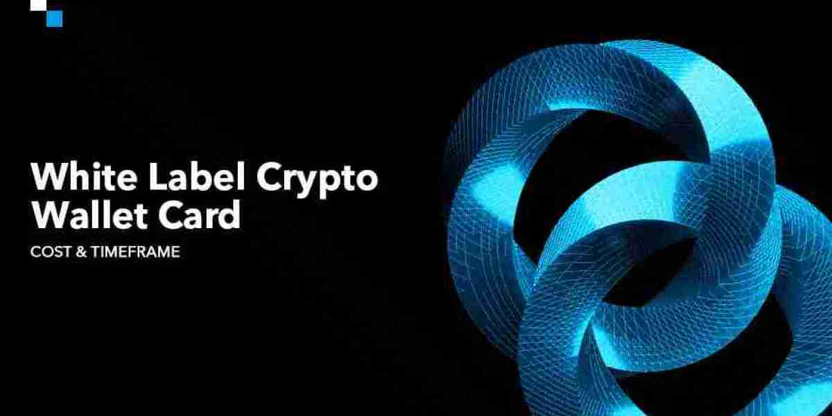 White Label Crypto Wallet Card Development: The Cost Timeframe