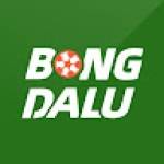 Bongda Lu