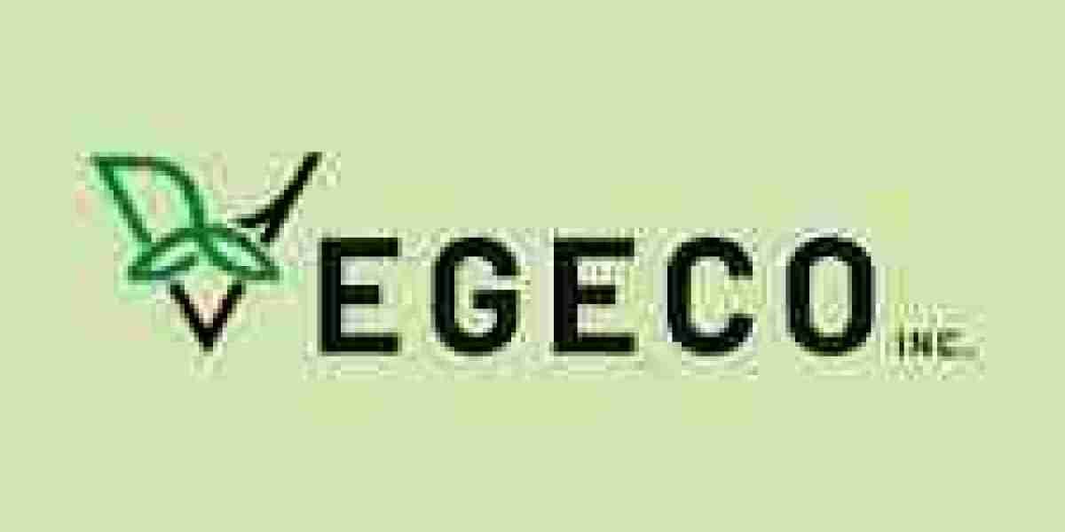 VegEco: Merging Veganism and Sustainability for a Greener Planet