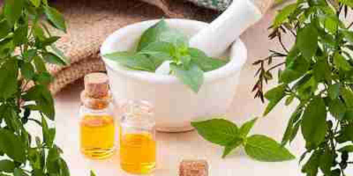 Plant Extracts Market Sees Steady Growth Driven by Health and Wellness Trends