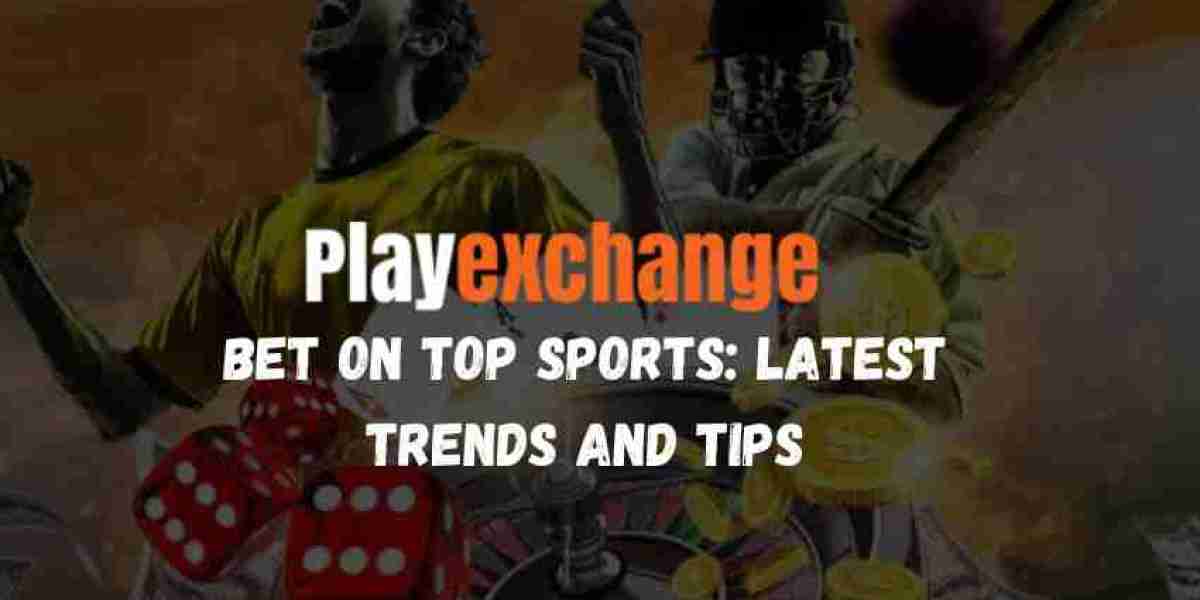 Top Sports to Bet on This Year: Trends and Tips