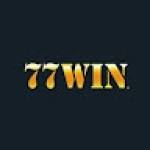 77winvin top