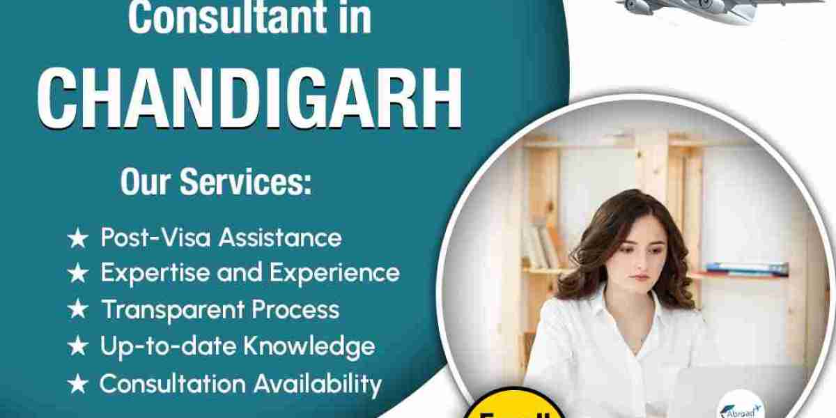 Top Visa Consulting Firms in Chandigarh That Guarantee Success