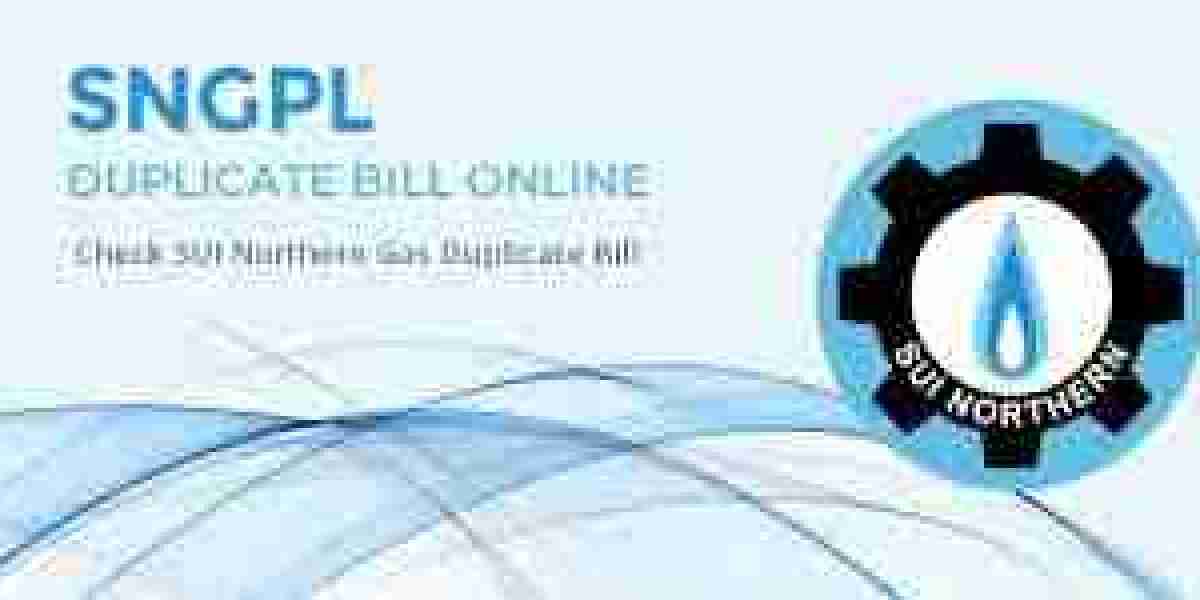 "Easy Steps to Check Your SNGPL Bill Online"