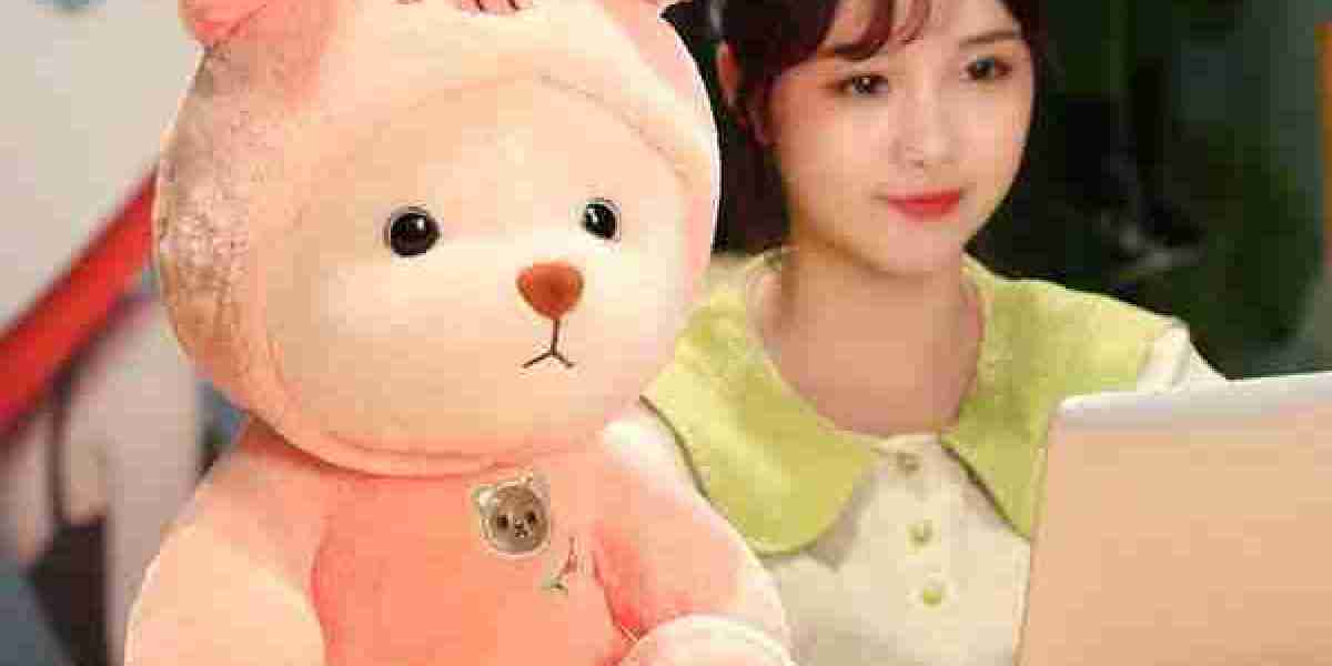 Discover the Best Soft Toys For Girlfriend & Cute Soft Toys Online – Imported Korean Soft Toys from RiniShoppe