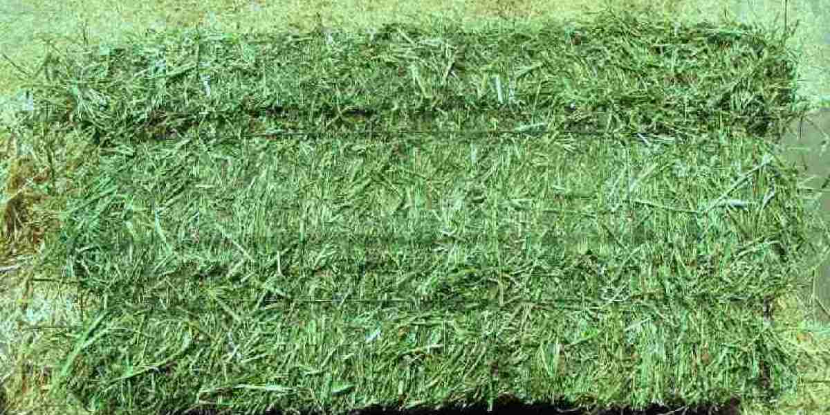 Africa Alfalfa Hay Market Booming Worldwide with Latest Trends and Future Scope by 2032