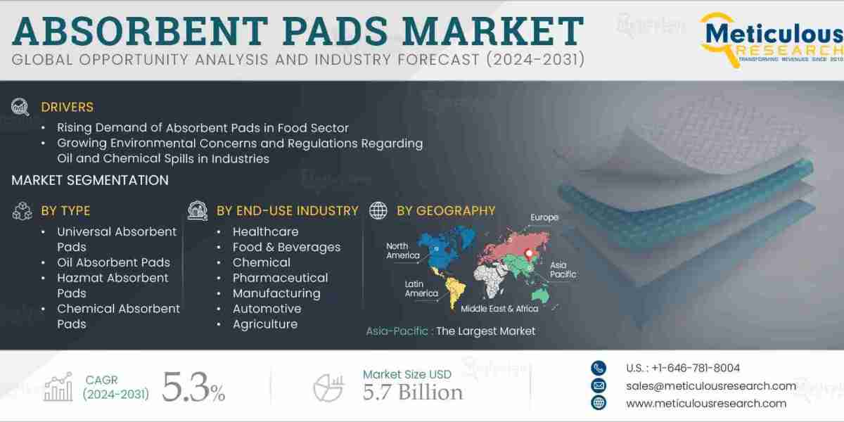 Sustainable Solutions in Absorbent Pads Market: Forecasting Growth and Trends by 2031