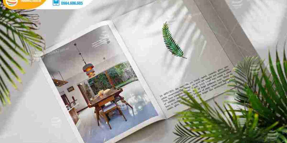 Bộ Sưu Tập Mẫu Catalogue Thiết Bị Nhà Bếp Đa Dạng