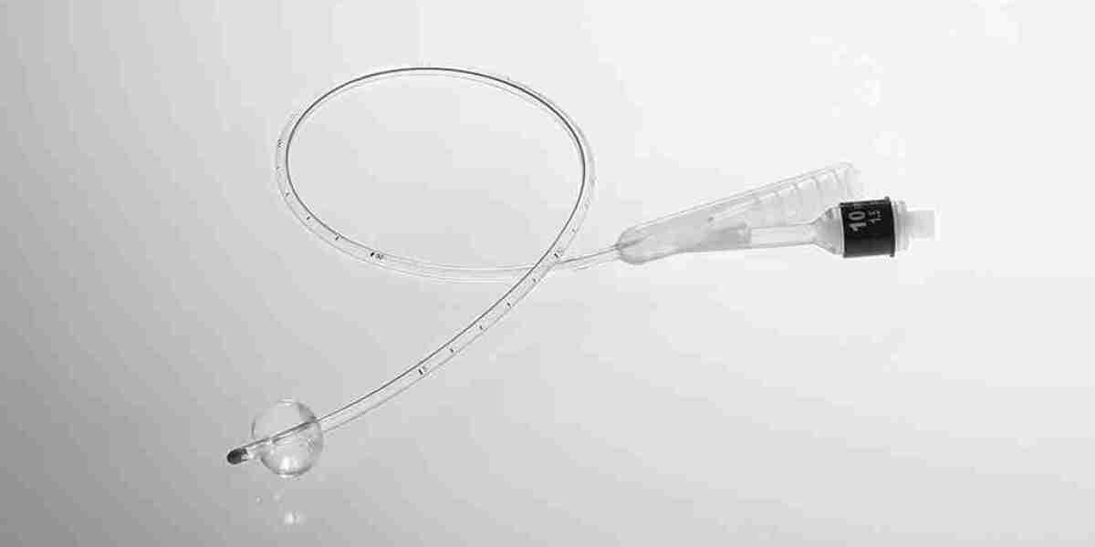 Nephrostomy Devices Market looks to expand its size in Overseas Market