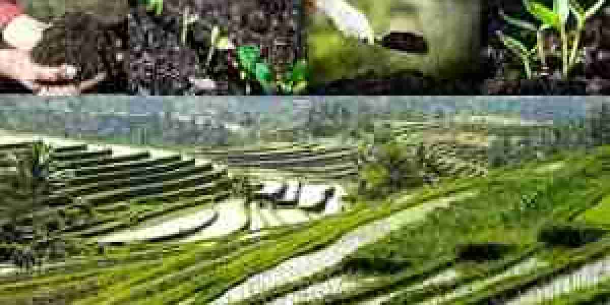 Indonesia Fertilizer Industry Market Exhibits a Stunning Growth