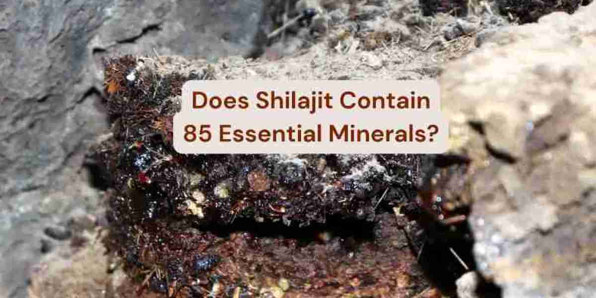 What are the 85 Minerals Found in Shilajit?