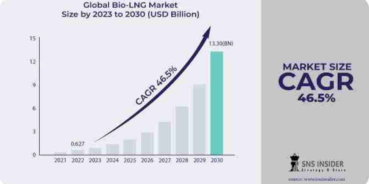 Bio-LNG Market Innovations: Transforming Waste into Renewable Fuel