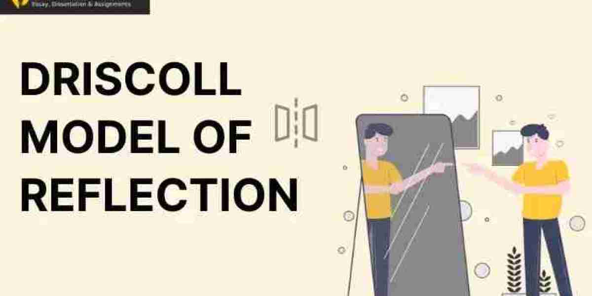 How to Use Driscoll's Model of Reflection: A Comprehensive Guide