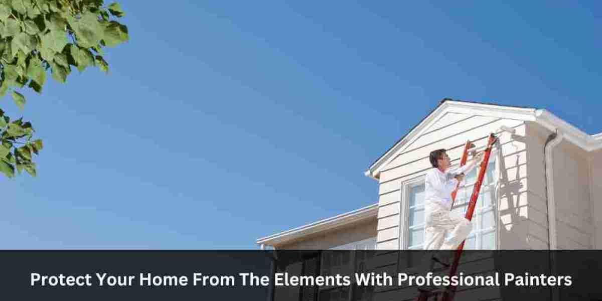 Protect Your Home From The Elements With Professional Painters