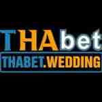 thabet wedding