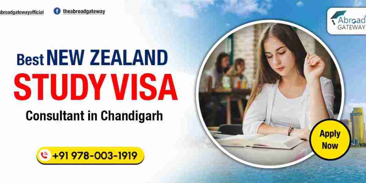 How Abroad-Gateway Helps You Secure a New Zealand Visa from Chandigarh