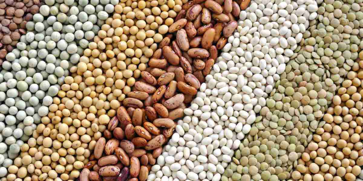 Grain Seed Market To Witness Huge Growth By 2032