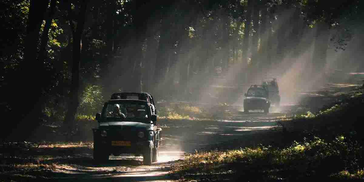 Complete Guide to Jim Corbett Jeep Safari: Tips, Booking, & Experience