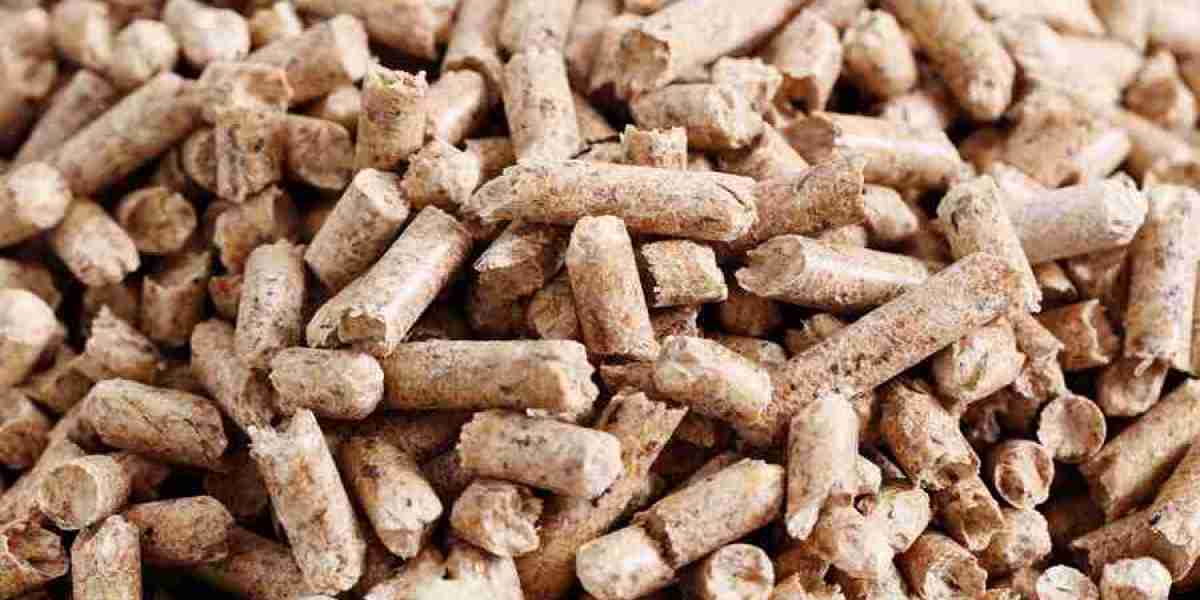 Global Compound Feed Market Size, Demand, Statics, Insights, Forecasts To 2032