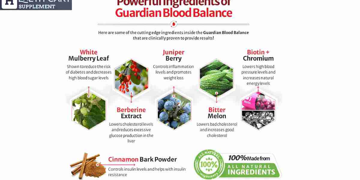 Blood Balance: Boost Performance and Stamina – Full Review