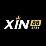 xin88 baby