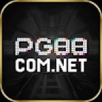 pg88 comnet