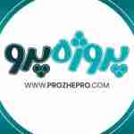 Prozhe Pro15