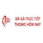 Đá Gà Trực Tiếp Thomo Hôm Nay