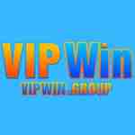 vipwin group